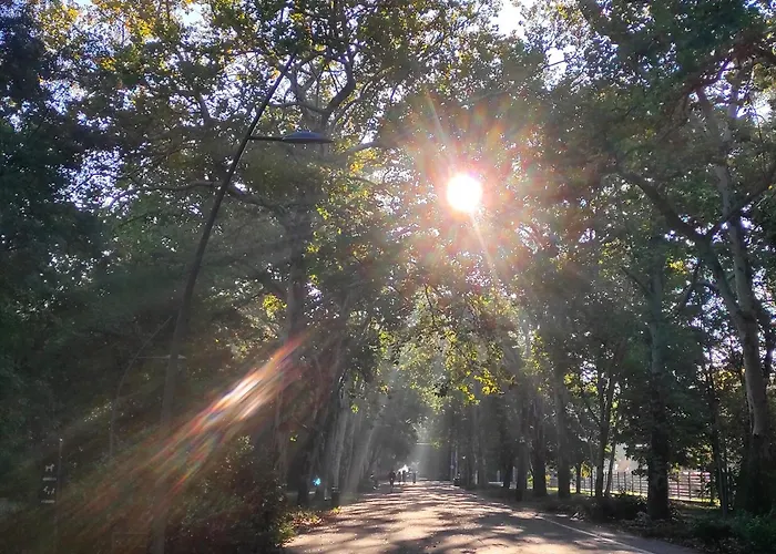 Hip Riverview Bestern Segedin